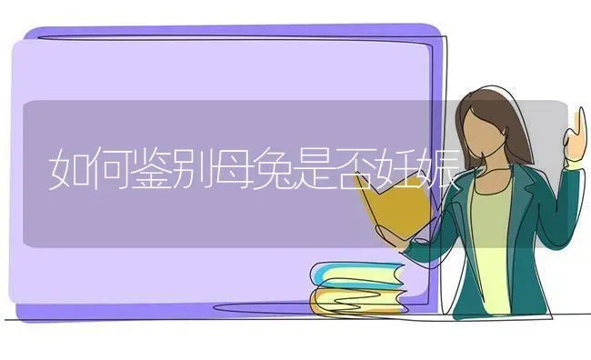 如何鉴别母兔是否妊娠 | 家畜养殖