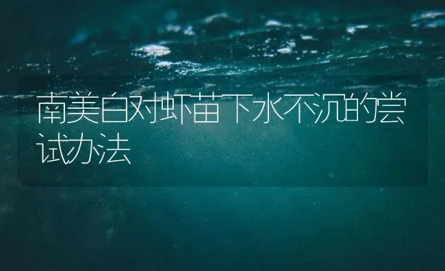 南美白对虾苗下水不沉的尝试办法 | 海水养殖