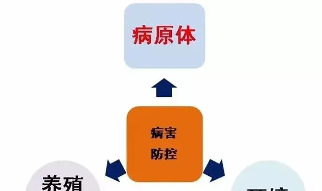 学会掌控消毒时机，你就掌控了水体消毒的核心技术