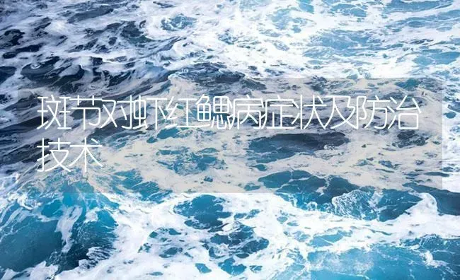 斑节对虾红鳃病症状及防治技术 | 养殖病虫害防治