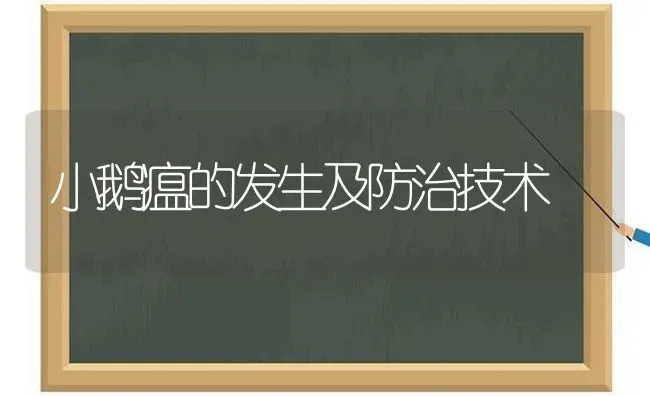 小鹅瘟的发生及防治技术 | 家禽养殖