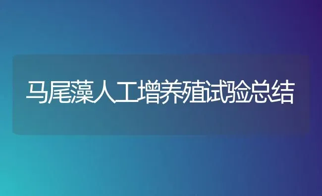 马尾藻人工增养殖试验总结 | 特种养殖