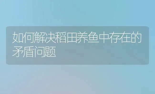 如何解决稻田养鱼中存在的矛盾问题 | 淡水养殖