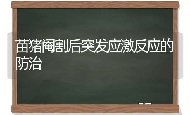 苗猪阉割后突发应激反应的防治 | 家畜养殖