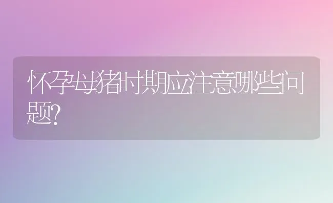 怀孕母猪时期应注意哪些问题? | 家畜养殖