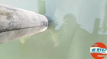 水产养殖户的困惑：为什么池塘的水肥不起来