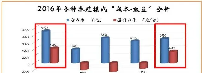 一大波弧菌准备在梅雨期猖狂！阴雨缠绵时，南美白对虾准备如何抵挡