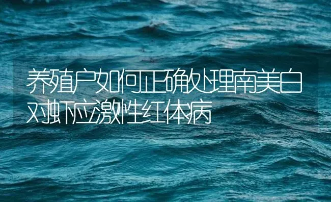 养殖户如何正确处理南美白对虾应激性红体病 | 海水养殖