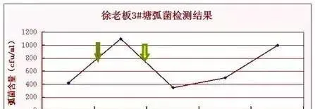 从弧菌检测谈过硫酸氢钾复合盐在对虾养殖中的重要性
