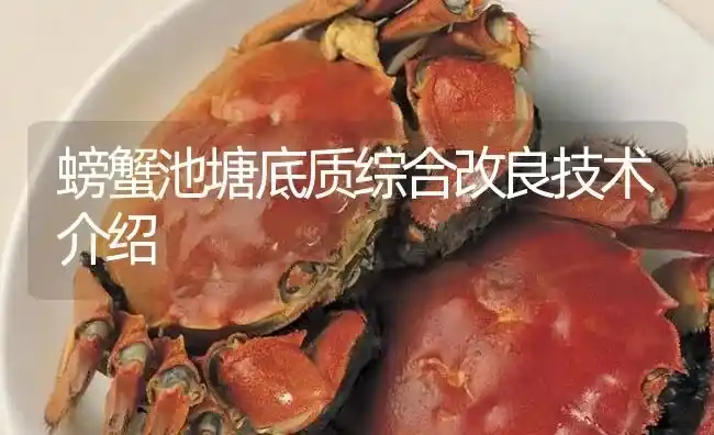 螃蟹池塘底质综合改良技术介绍 | 淡水养殖