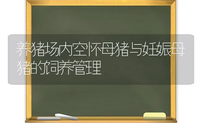 养猪场内空怀母猪与妊娠母猪的饲养管理 | 家畜养殖