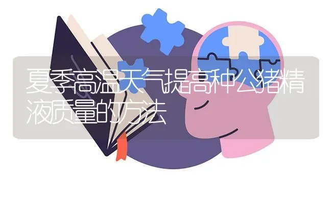 夏季高温天气提高种公猪精液质量的方法 | 家畜养殖