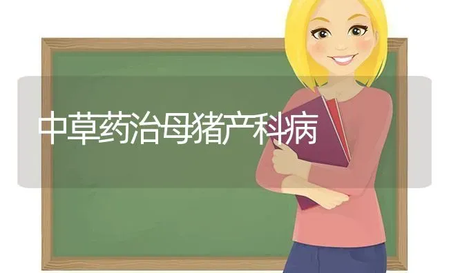 中草药治母猪产科病 | 养殖病虫害防治