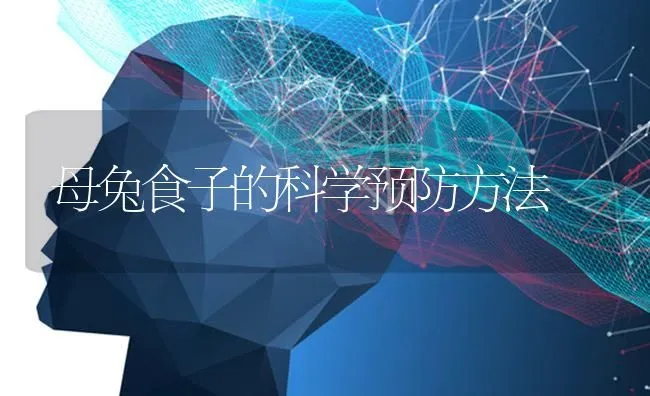 母兔食子的科学预防方法 | 家畜养殖