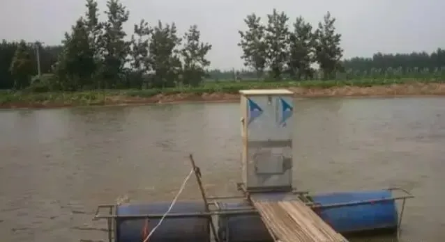 全面分析水产养殖户如何做好水质管理工作