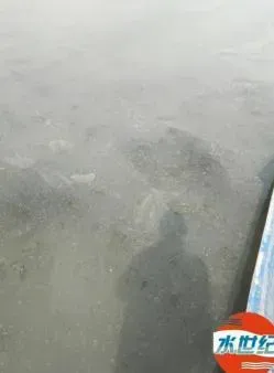 水产养殖户的困惑：为什么池塘的水肥不起来