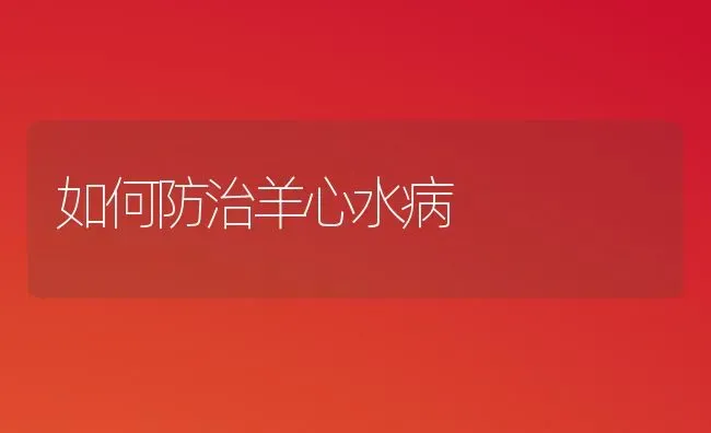 如何防治羊心水病 | 家畜养殖