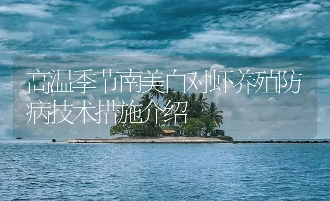 高温季节南美白对虾养殖防病技术措施介绍 | 海水养殖