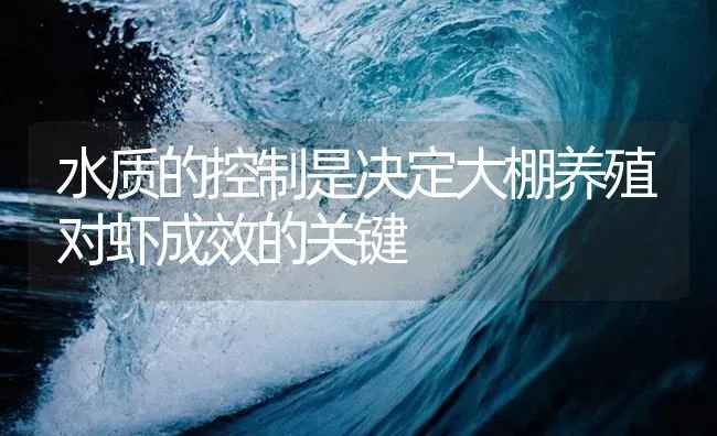 水质的控制是决定大棚养殖对虾成效的关键 | 海水养殖