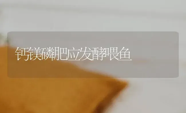 钙镁磷肥应发酵喂鱼 | 淡水养殖