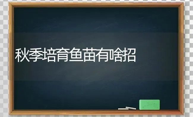 秋季培育鱼苗有啥招 | 淡水养殖