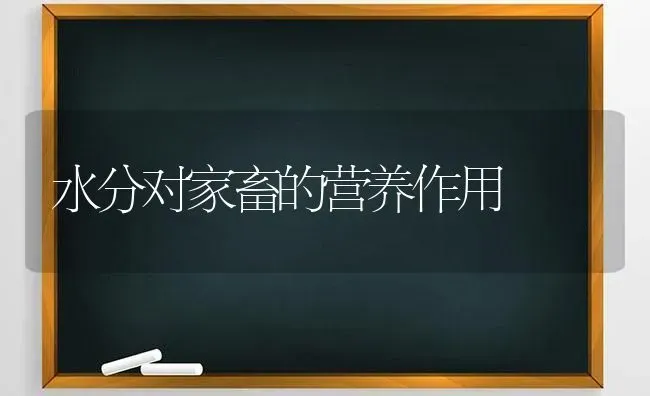 水分对家畜的营养作用 | 家畜养殖