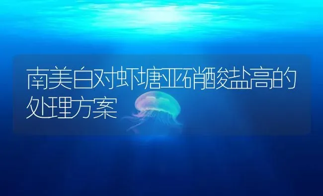 南美白对虾塘亚硝酸盐高的处理方案 | 海水养殖