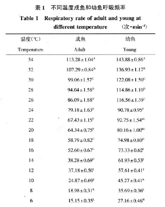 一个池塘投饵台怎样设置才是最合理的？