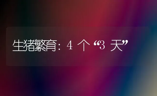 生猪繁育：4个“3天” | 家畜养殖