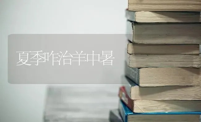 夏季咋治羊中暑 | 家畜养殖