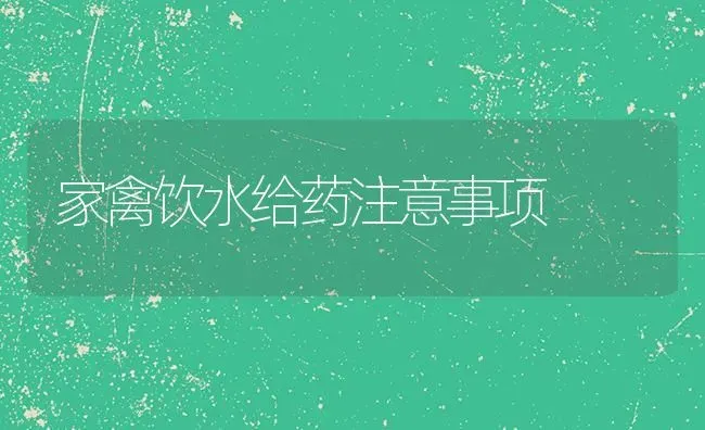 家禽饮水给药注意事项 | 养殖病虫害防治