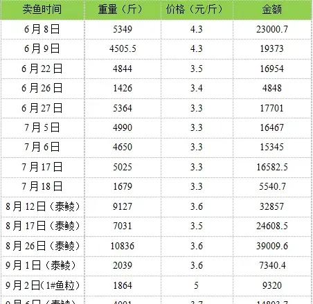 使用海大鲮鱼切片料产量高卖鱼快料比低效益好