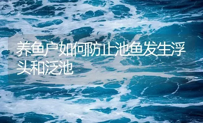 养鱼户如何防止池鱼发生浮头和泛池 | 养殖病虫害防治