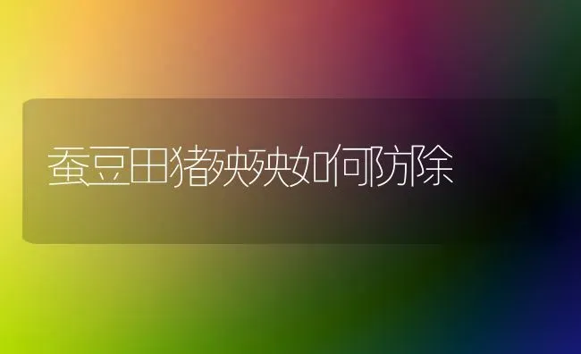 蚕豆田猪殃殃如何防除 | 家畜养殖