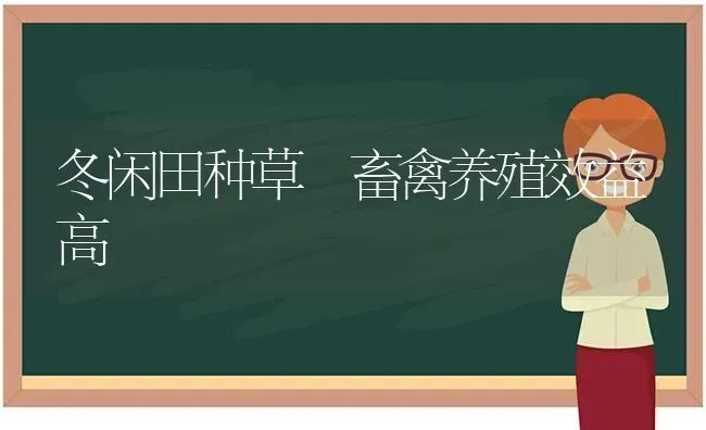 冬闲田种草 畜禽养殖效益高 | 家禽养殖