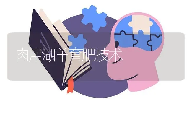肉用湖羊育肥技术 | 家畜养殖
