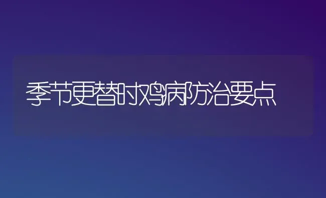 季节更替时鸡病防治要点 | 家禽养殖