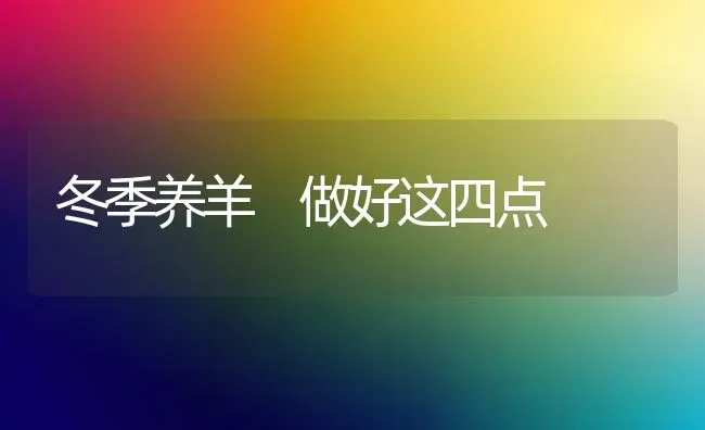 冬季养羊 做好这四点 | 家畜养殖