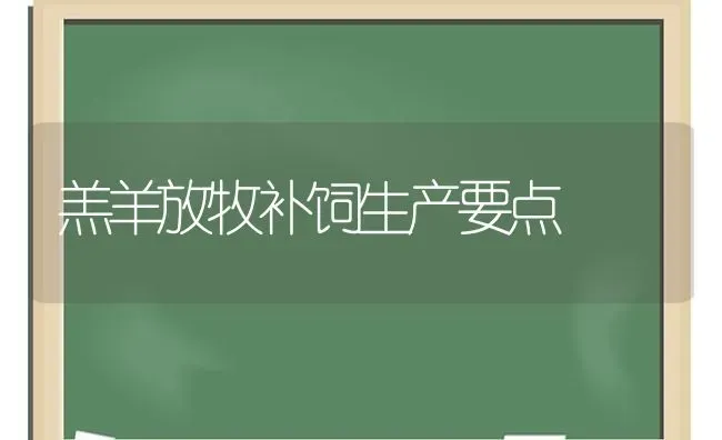 羔羊放牧补饲生产要点 | 家畜养殖