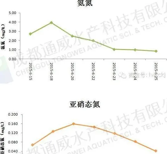 江苏地区大水面池塘高温季节”倒藻”后再培藻案例