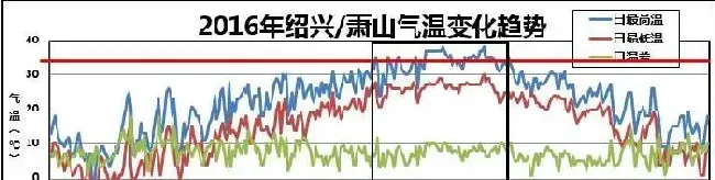 连续高温，隐患已初现，八九月份对虾养殖户仍不可放松警惕