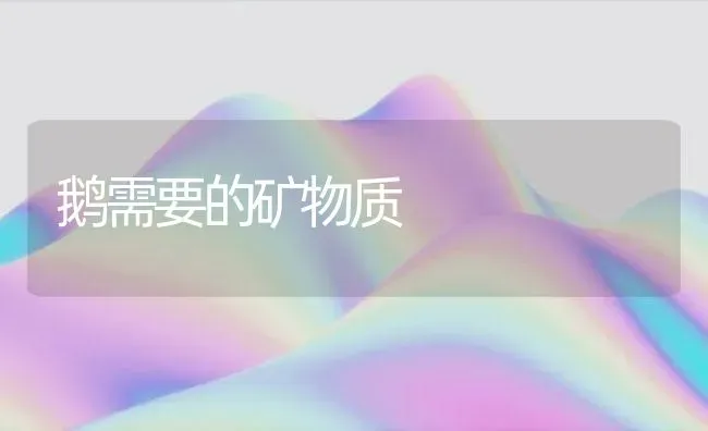 鹅需要的矿物质 | 家禽养殖