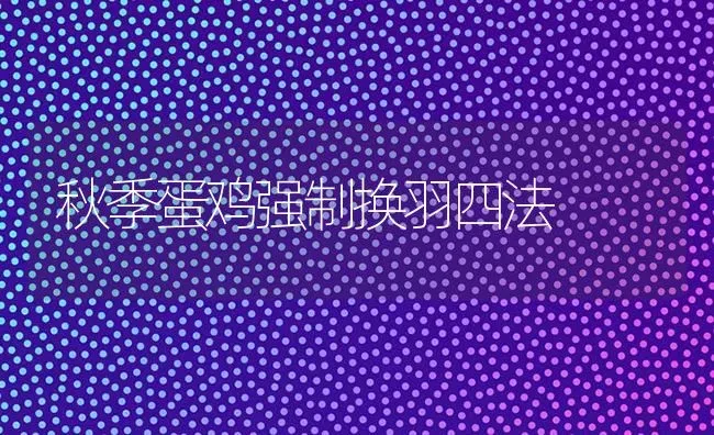 秋季蛋鸡强制换羽四法 | 家禽养殖