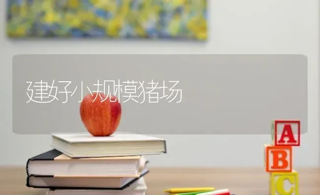 建好小规模猪场 | 家畜养殖