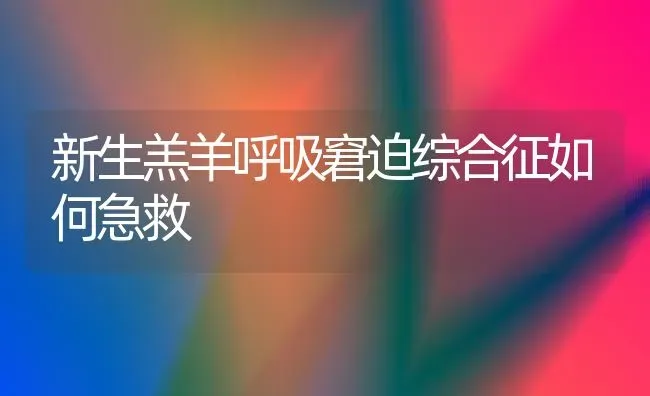 新生羔羊呼吸窘迫综合征如何急救 | 家畜养殖