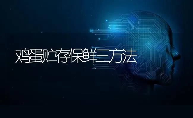 鸡蛋贮存保鲜三方法 | 家禽养殖