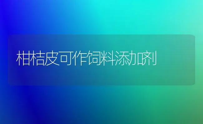 柑桔皮可作饲料添加剂 | 动物养殖饲料