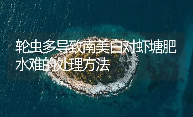 轮虫多导致南美白对虾塘肥水难的处理方法 | 海水养殖