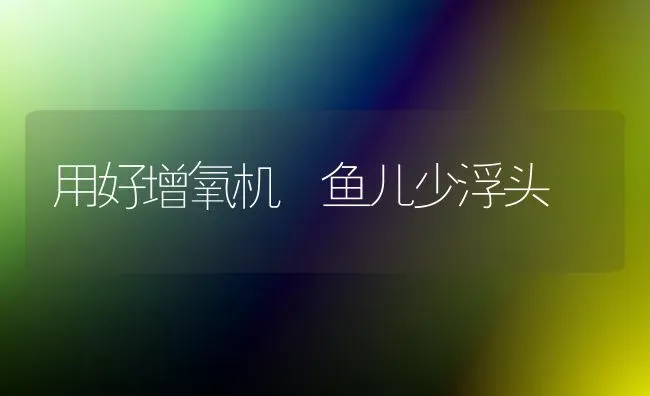 用好增氧机 鱼儿少浮头 | 淡水养殖