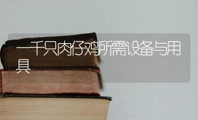 一千只肉仔鸡所需设备与用具 | 家禽养殖